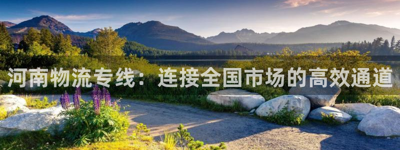 ,优游国际赌博被抓：河南物流专线：连