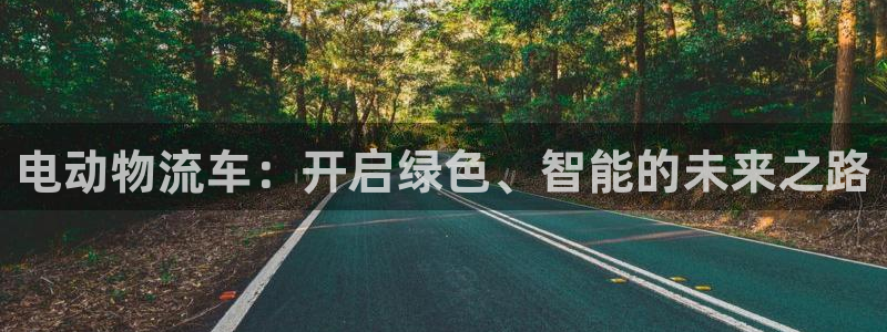 加拿大,优游国际数字规则：电动物流车