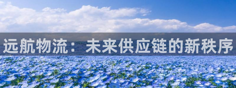 ,优游国际注册步骤：远航物流：未来供