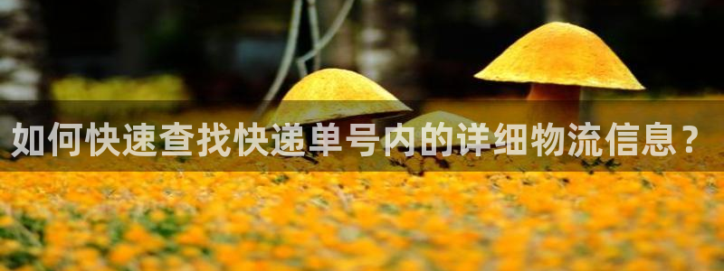 ,优游国际p扣除是什么意思：如何快速
