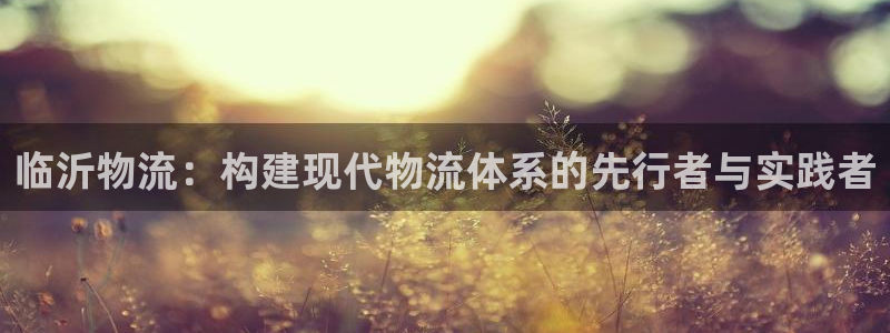 ,优游国际农业银行是狗卡吗：临沂物流
