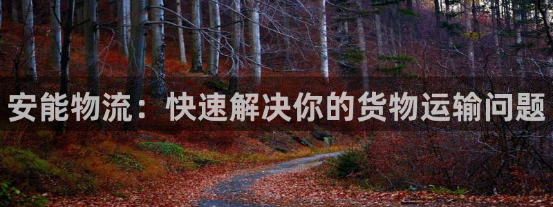 ,优游国际现在狂杀：安能物流：快速解