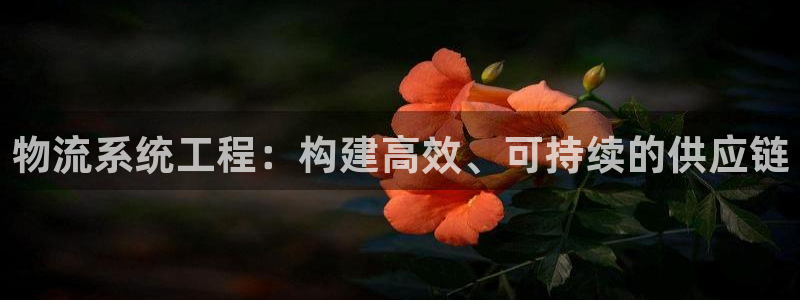 ,优游国际绿骨头：物流系统工程：构建高效、可持续的供应链