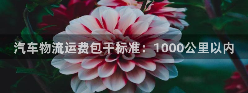 ,优游国际官方平台：汽车物流运费包干