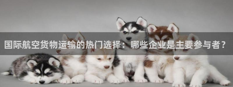 ,优游国际充值不到账怎么办