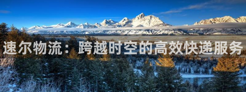 ,优游国际头像：速尔物流：跨越时空的