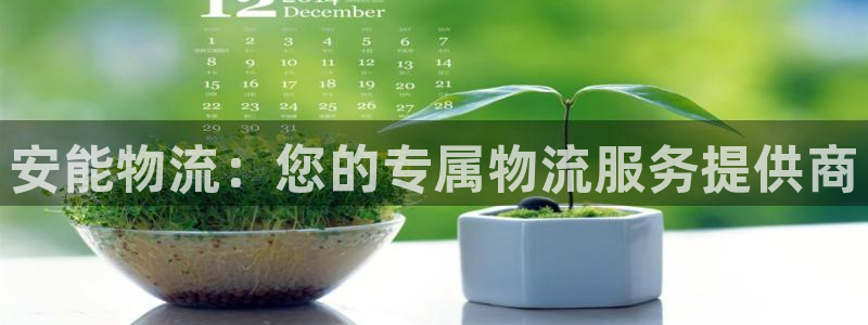 加拿大,优游国际数字规则