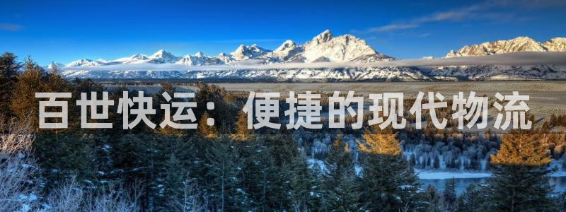 优游国际官网下载APP：百世快运：便