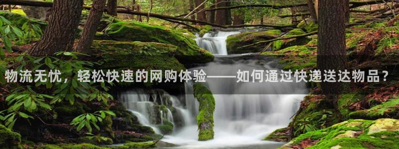 优游国际官网入口app：物流无忧，轻