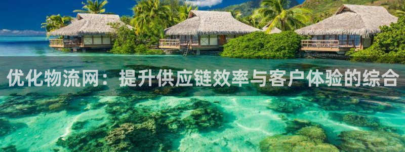 ,优游国际注册平台：优化物流网：提升
