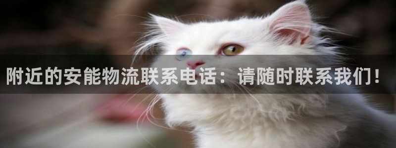 优游国际官网入口app：附近的安能物
