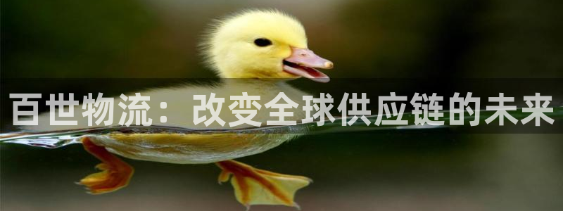 ,优游国际登录流程：百世物流：改变全球供应链的未来