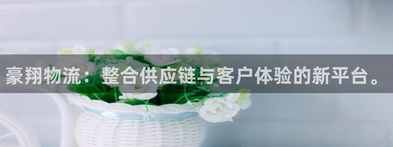 ,优游国际在线预测官网：豪翔物流：整