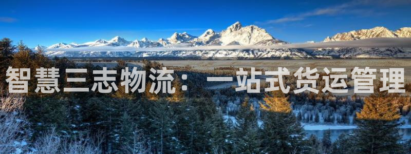 ,优游国际为什么打不开：智慧三志物流