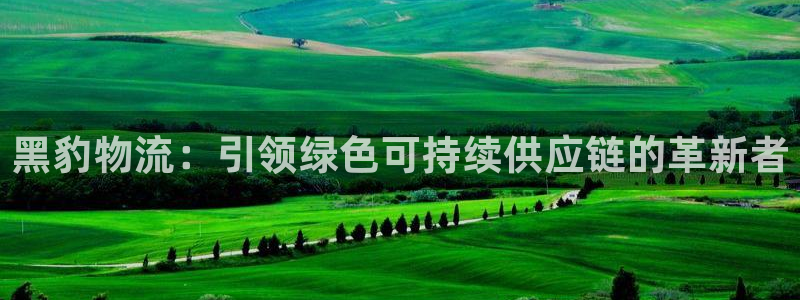 ,优游国际加拿大模拟器：黑豹物流：引
