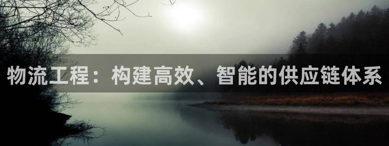 ,优游国际软件堵什么反什么：物流工程
