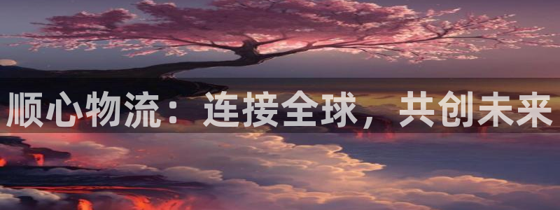 ,优游国际如何看012路计划:顺心物