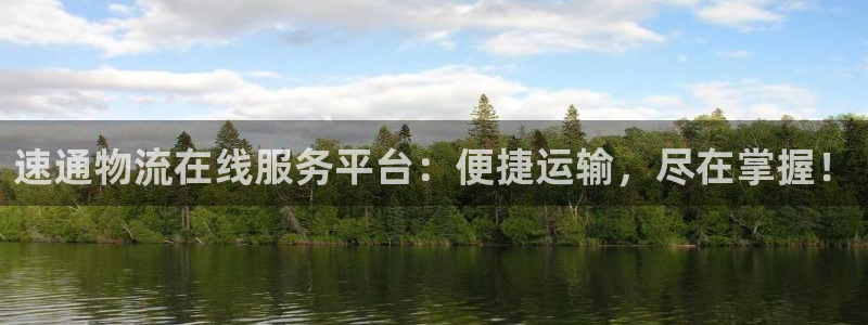 ,优游国际软件堵什么反什么：速通物流