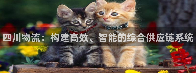 优游国际官网下载链接是什么:四川物流