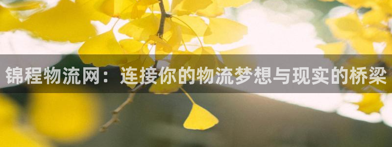 ,优游国际软件是什么