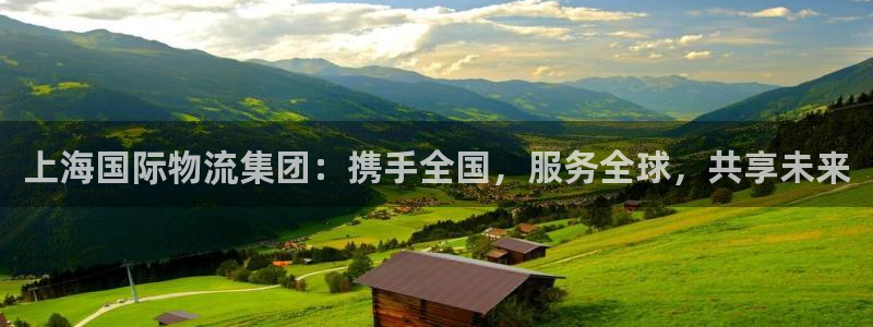 ,优游国际推广链接是多少钱一个：上海国际物流集团：携手全国，