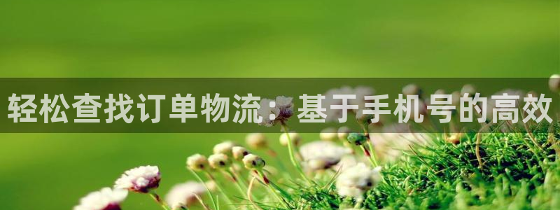 ,优游国际v6能卖多少:轻松查找订单